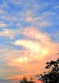 困城(男出轨H)类别都市