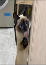 慢慢喜欢你原唱