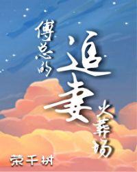 傅总的追妻火葬场短剧免费