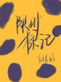 限时和限定有什么区别