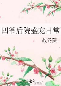 四爷的宠后(清穿)