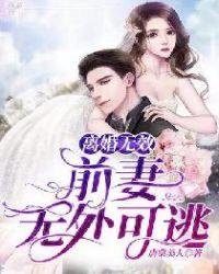 前妻离婚无效书包网