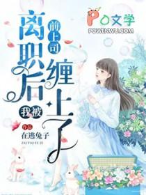 离职后我被前上司缠上大结局