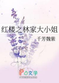 红楼之林家小弟