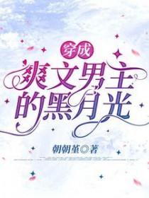 穿成男主黑月光讲的什么