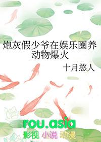 炮灰假少爷