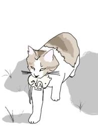 十八线就等你退婚了全文无删减