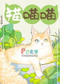 捡了流浪猫怎么办