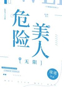 危险美学免费阅读