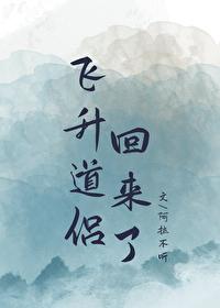 飞升之后的
