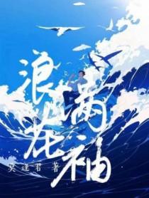 浪花满袖讲的什么