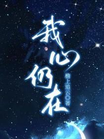 我的心还在这个国家