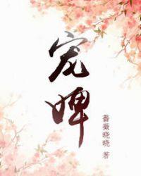 宠婢为妃
