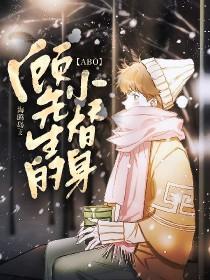 ABO顾先生的小替身 海鸥岛