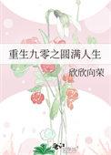 重生九零之圆满人生TXT