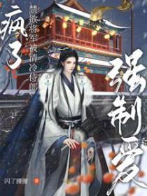 禁欲少将有点坏