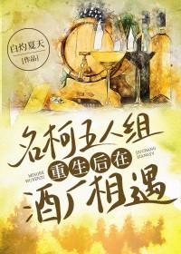 穿越名柯酒厂