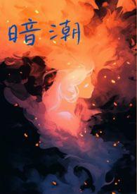 暗潮缉凶 电视剧 在线观看