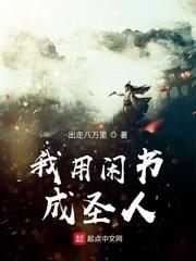 我用闲书成圣人怎么样