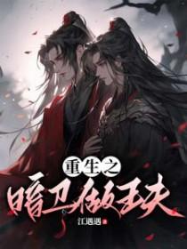 重生之暗卫将军皇上