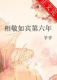 相敬如宾指的是