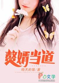 赘婿当道在线观看免费