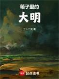 箱子里的大明无错版