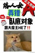 路人女a弄错卧底对象了 苟戈里 番外