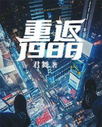 重返1988txt