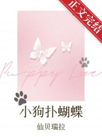 小狗扑蝴蝶图片