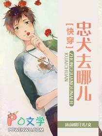 忠犬去哪儿免费阅读全文