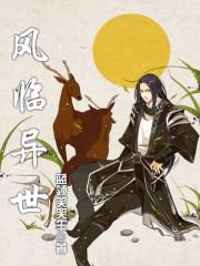 风临异世顶点