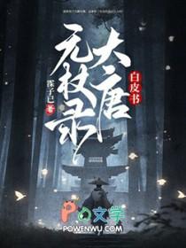 白皮书大唐无杖录讲的是什么