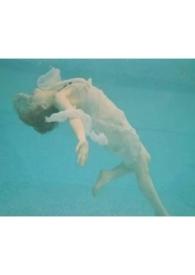 人非草木皆有情