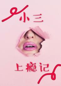 小三上瘾记在线阅读