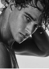 动物世界精品