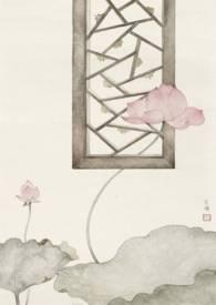 愿我如星君如月po18