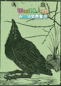 空壳子