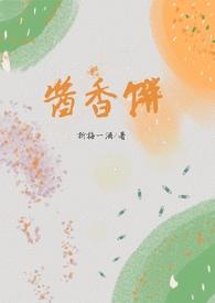 酱香饼酱料