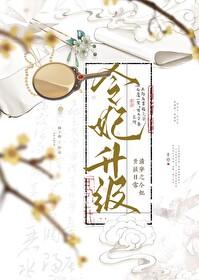 清穿之令贵妃晋升记梅若苦寒