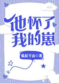 他怀了我的孩子殷司免费