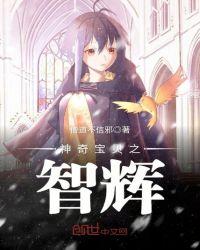 神奇宝贝之智辉 在线阅读