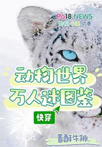 穿成动物世界里的万人迷