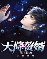 园宫小姐的天降赘婿