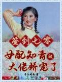 七零知青女配免费