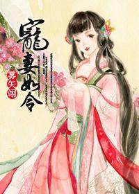 宠妻如令正版