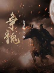 争魏大结局是什么