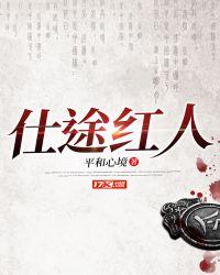 仕途红人之驭娇有术全文免费