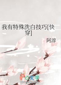 我有特殊洗白技巧快穿阿淳