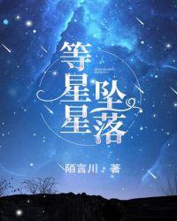 等星星坠落说的什么